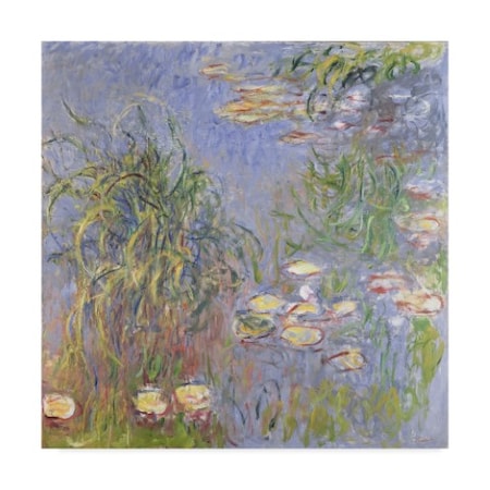 Claude Monet 'Waterlilies Cluster Of Grass' Canvas Art,14x14